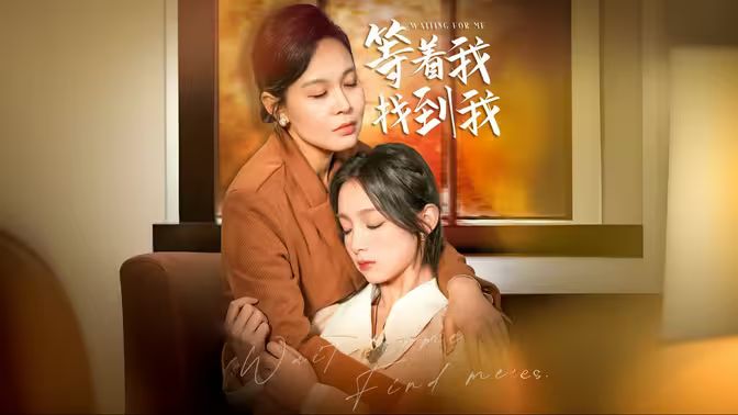等著我，找到我(全集)