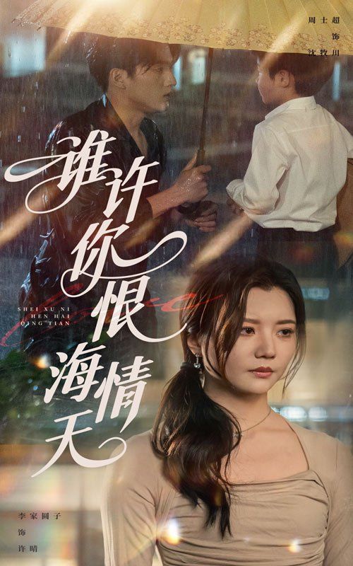 誰許你恨海情天(全集)