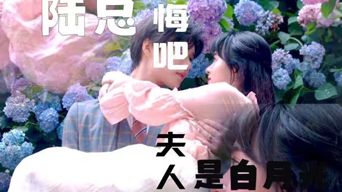 陸總懺悔吧，夫人才是白月光(全集)