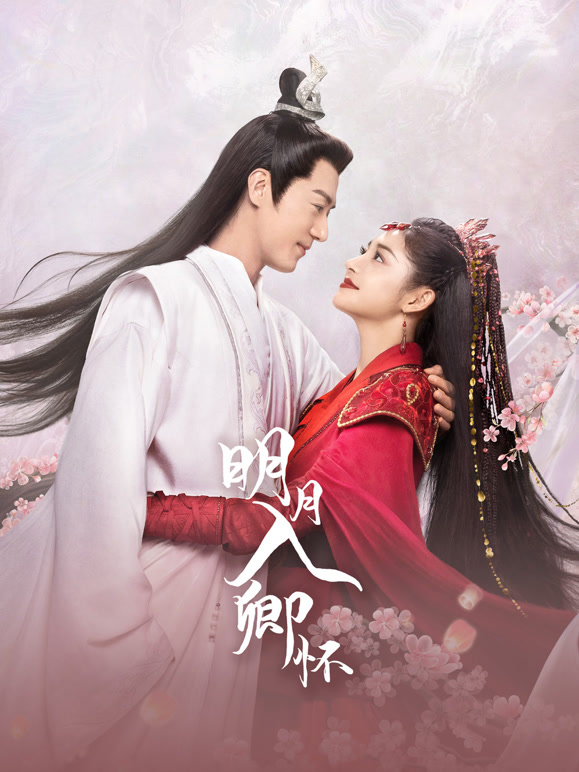 明月入卿懷(全集)