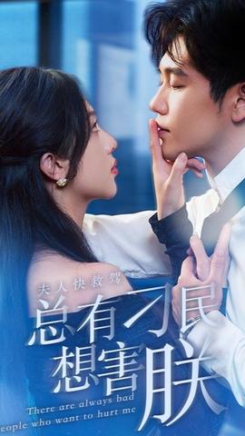 夫人快救駕，總有刁民想害朕(全集)