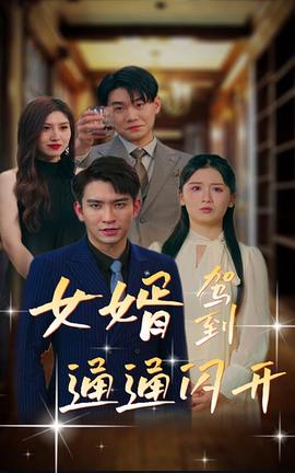 女婿駕到，通通閃開(全集)