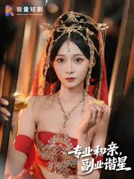 專業(yè)和親，副業(yè)諧星(全集)