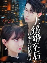 上錯(cuò)婚車后我賴上冷酷譚爺(全集)