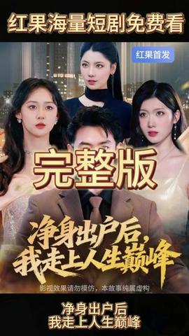 凈身出戶(hù)后，我走上人生巔峰(全集)
