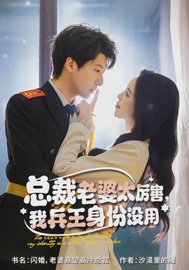 總裁老婆太厲害，我兵王身份沒用(全集)