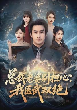 總裁老婆別擔(dān)心，我醫(yī)武雙絕(全集)