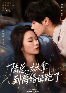 陸總，太太拿到離婚證跑了(全集)