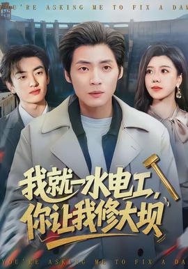 我就一水電工，你讓我修大壩(全集)
