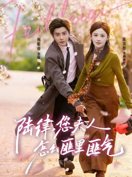 陸律，您夫人怎么匪里匪氣(全集)