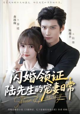 閃婚領(lǐng)證，陸先生的寵妻日常(全集)